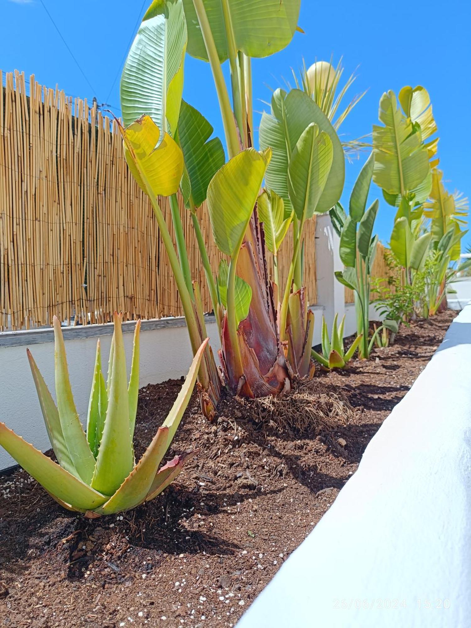 Supertubos House Peniche Bed & Breakfast Atouguia Da Baleia Bagian luar foto